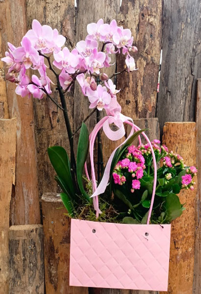 Pink Elegance