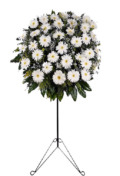 Beyaz Gerbera Ferforje